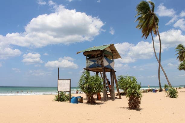 Coastal landscape