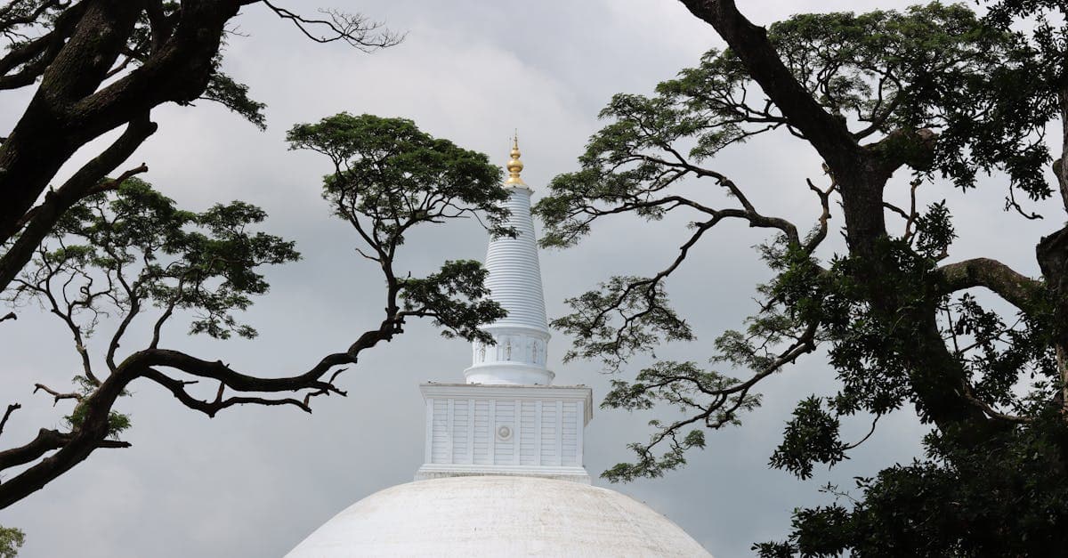 Anuradhapura