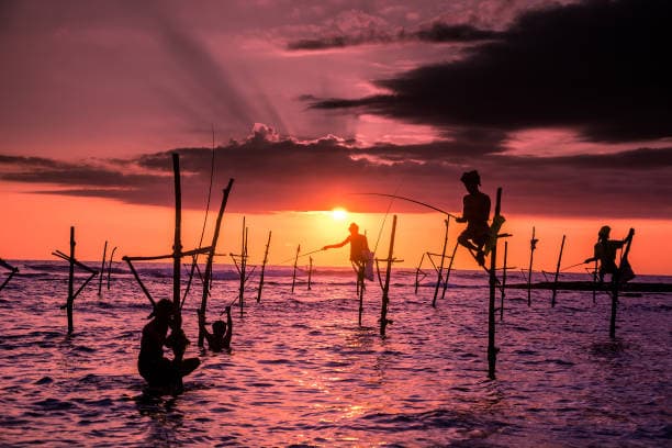 Sunset at Mirissa Beach