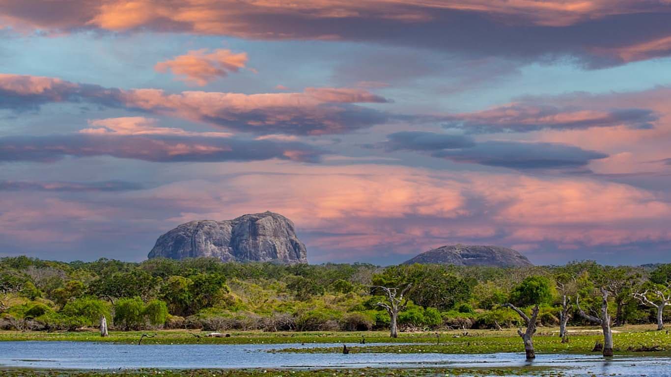 Yala National Park